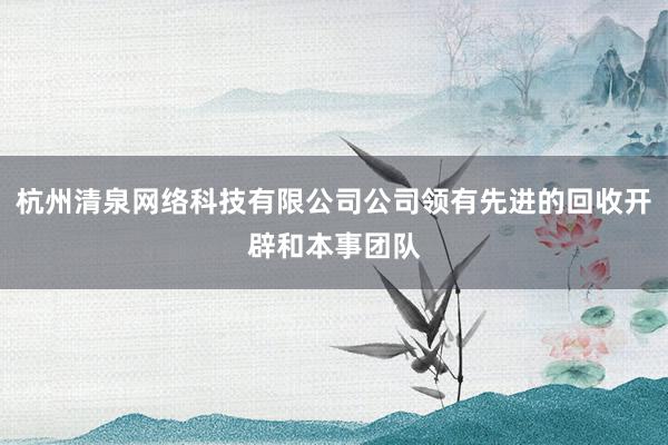 杭州清泉网络科技有限公司公司领有先进的回收开辟和本事团队